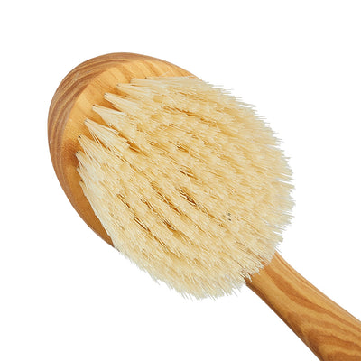 Luxury Ash Pure White Bath Brush with Fixed Head - FD10 - Close Up