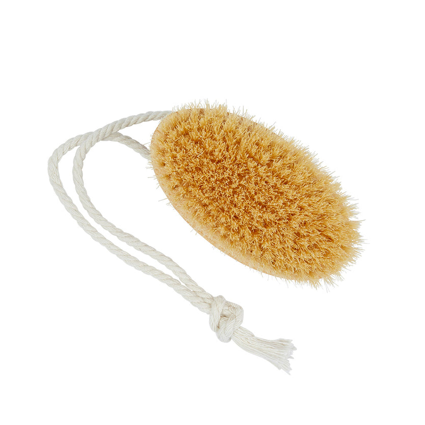 Ash Shower Exfoliating Brush - FD11 - Bristle