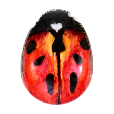 Pebble Detangling Ladybug Brush - PBUG