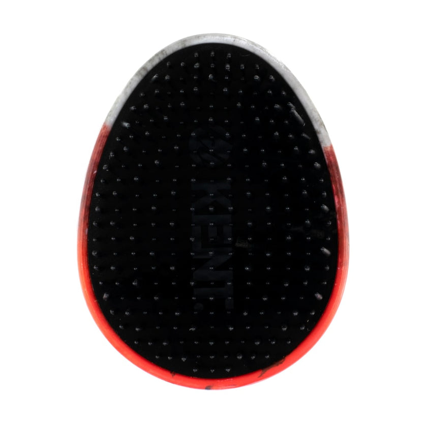 Pebble Detangling Ladybug Brush - PBUG
