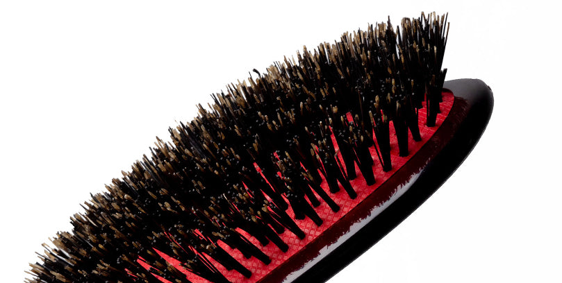 CSFL - Classic Shine Large Pure Black Bristle Hairbrush Bristle Detail View - LR