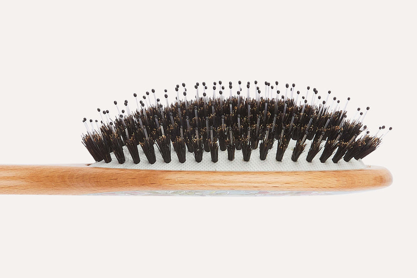 Peter Rabbit™ Large Bristle Nylon Mix Hairbrush - PR01