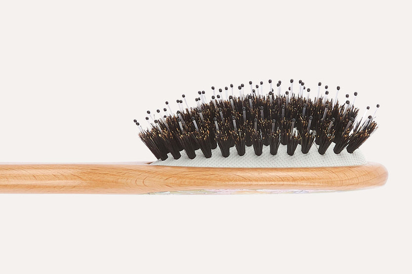 Squirrel Nutkin™ Small Bristle Nylon Mix Hairbrush - PR02