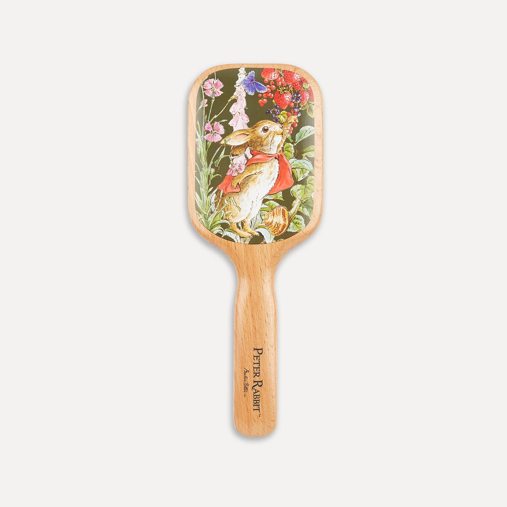 Flopsy™ Fine Quill Paddle Brush - PR03 1
