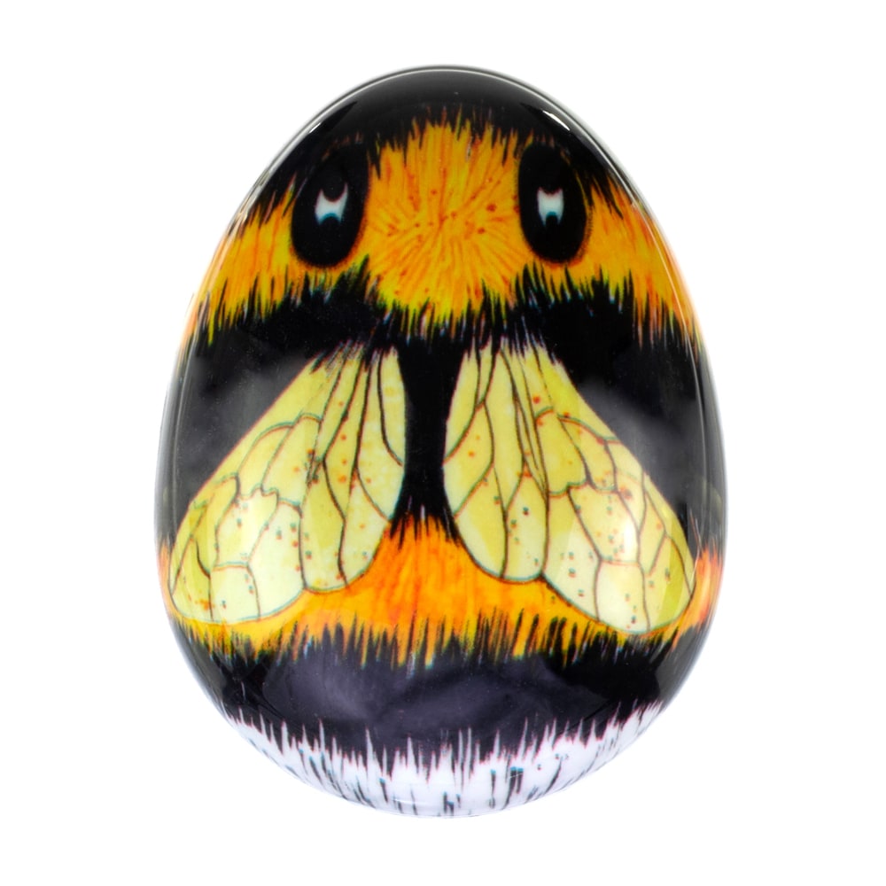 Kent Pebble Lady Bug Reise-Haarbürste – Für Nasse Und Trockene Haare, Marienkäfer-Design